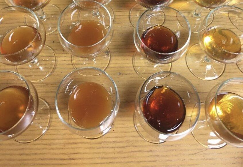 Tour and Honey Tasting Seminar at StathakisFamily - Gastronomy Tours Tour and Honey Tasting Seminar at StathakisFamily
