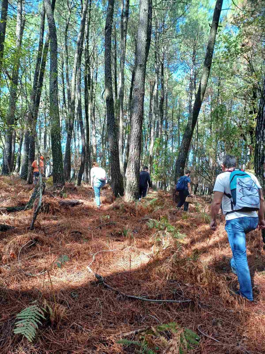 Forage Wild Mushrooms & Herbs in Kalamata’s Enchanting Countryside