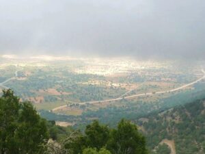 tofillo-omalos-farm-006.jpg