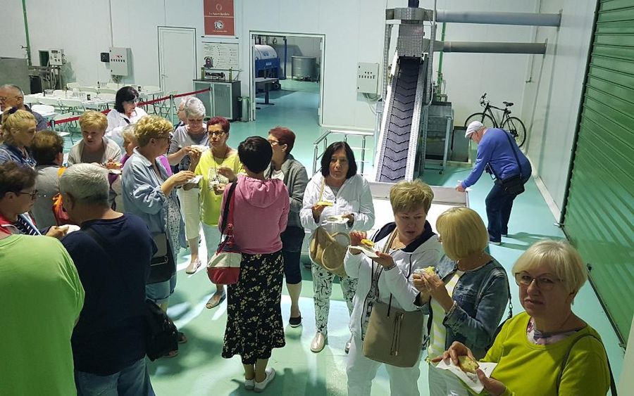 Cooking Lesson at Melas Epidauros Olive Oil Domain (For groups over 10 pax) - Gastronomy Tours Cooking Lesson at Melas Epidauros Olive Oil Domain (For groups over 10 pax)