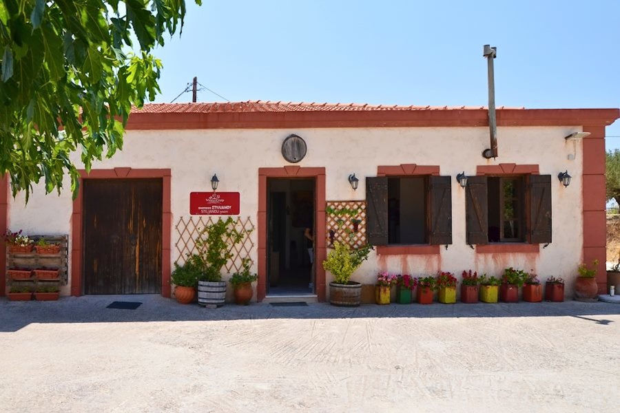 Stilianou Winery - Gastronomy Tours Stilianou Winery