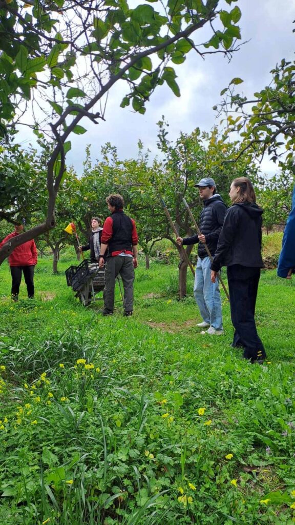Viya Syros – Organic Farm Tour Experience in Syros