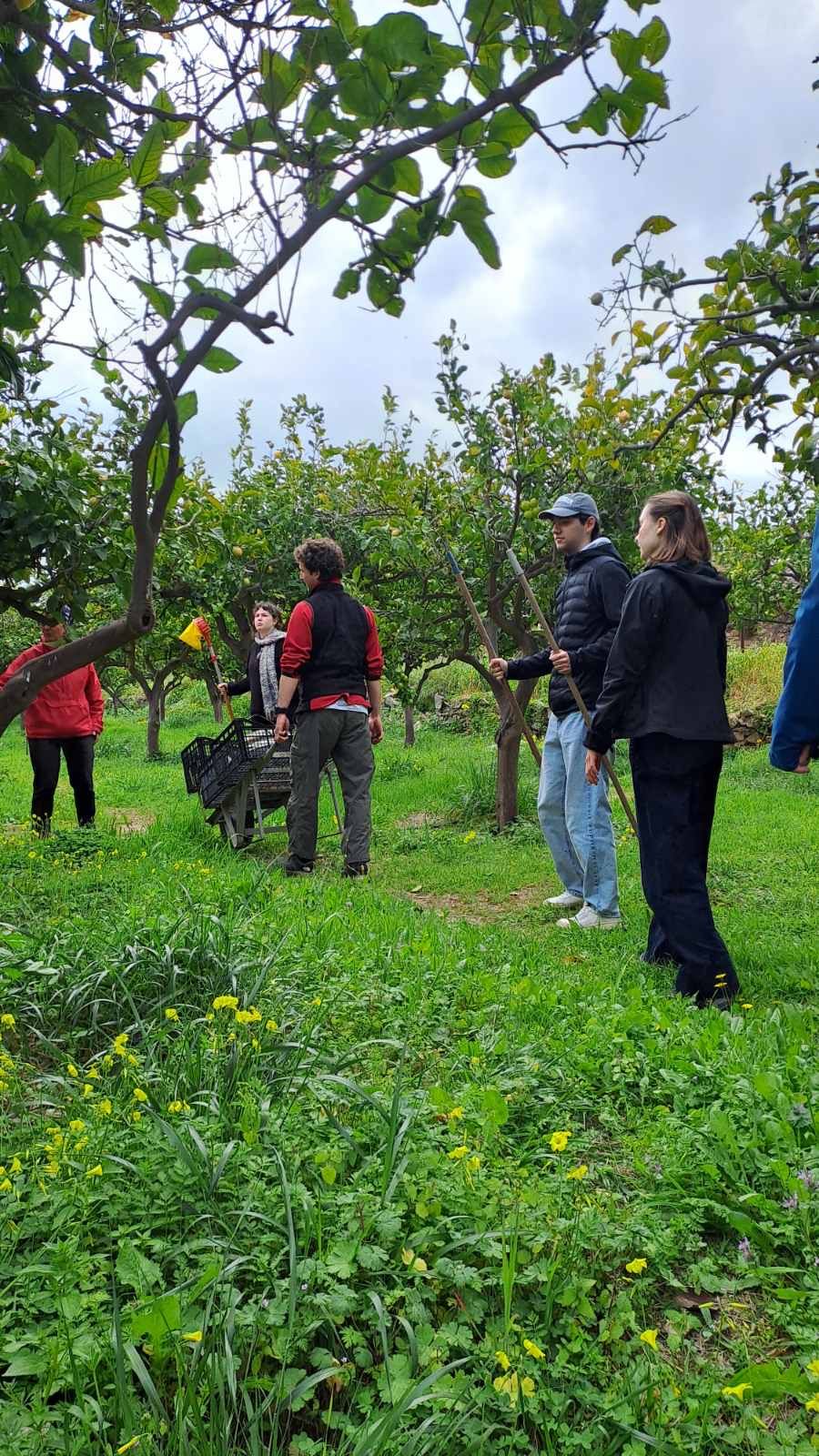 Viya Syros - Organic Farm Tour Experience in Syros - Gastronomy Tours Viya Syros – Organic Farm Tour Experience in Syros