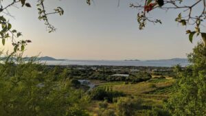 wZ4NXX0g_HorafaViewfromLeo.jpg
