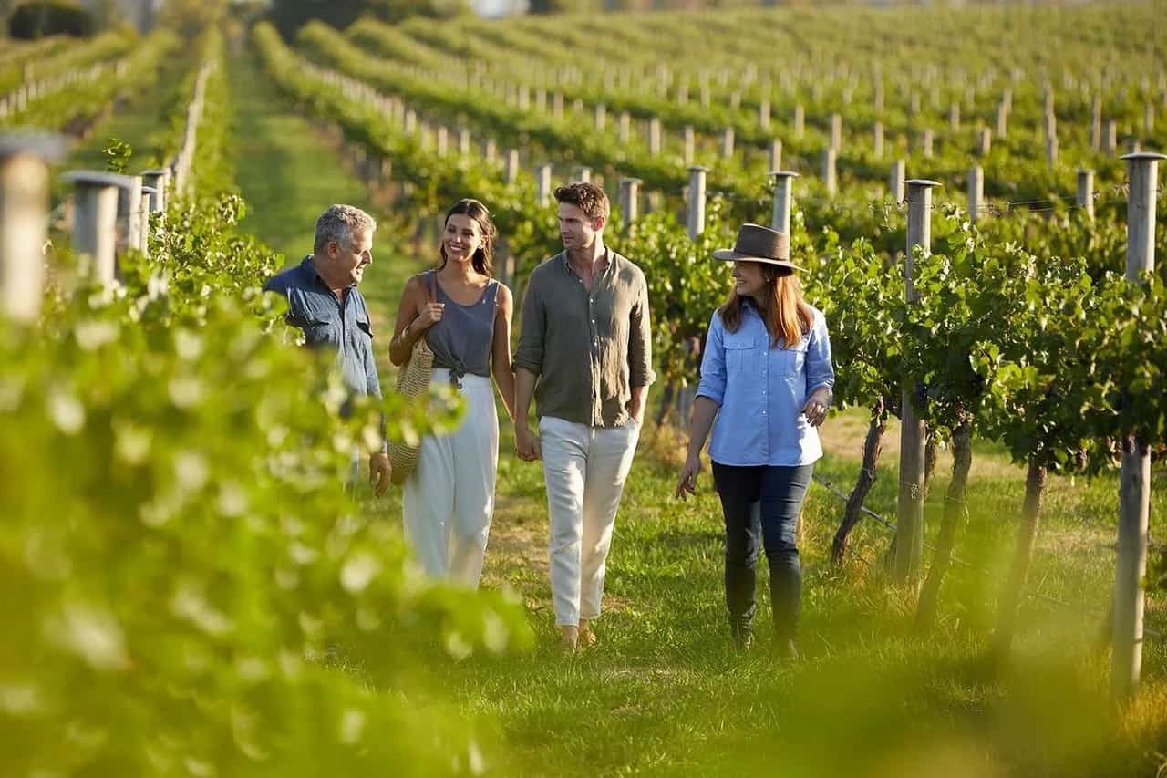 Athens Wine Tours and Wine Tastings - Gastronomy Tours Athens Wine Tours and Wine Tastings