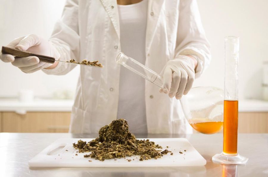 Create Natural Health Cosmetics at Bee Naturalles