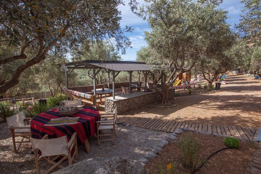 Olive Stories Tour at MoKa - Gastronomy Tours Olive Stories Tour at MoKa