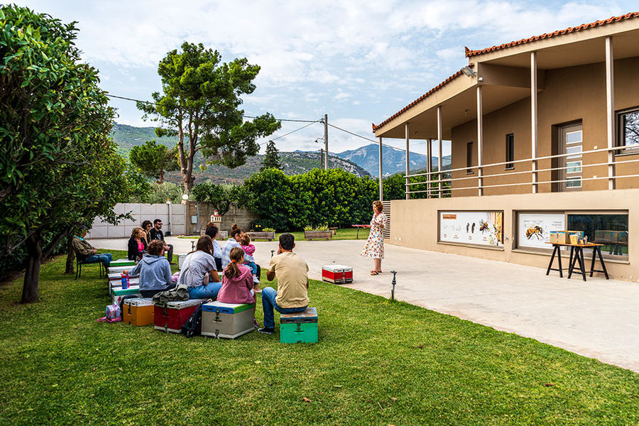 Beekeeping Apospori Honey Farm