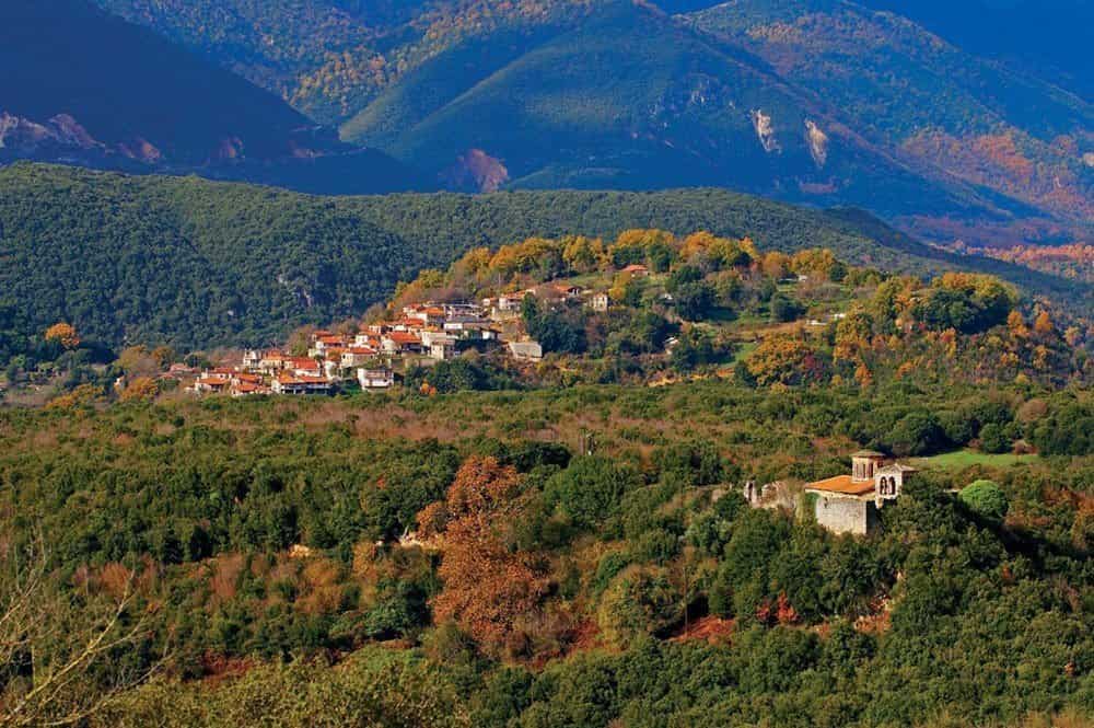 The Best Zitsa Food Tours