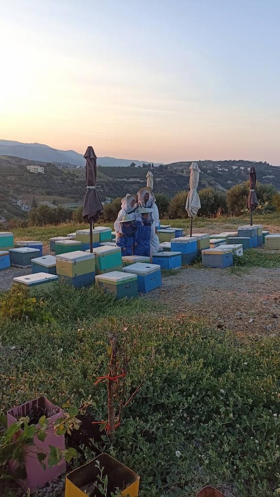 Organic Bee Balm Course at Kokkiadis Honey Farm