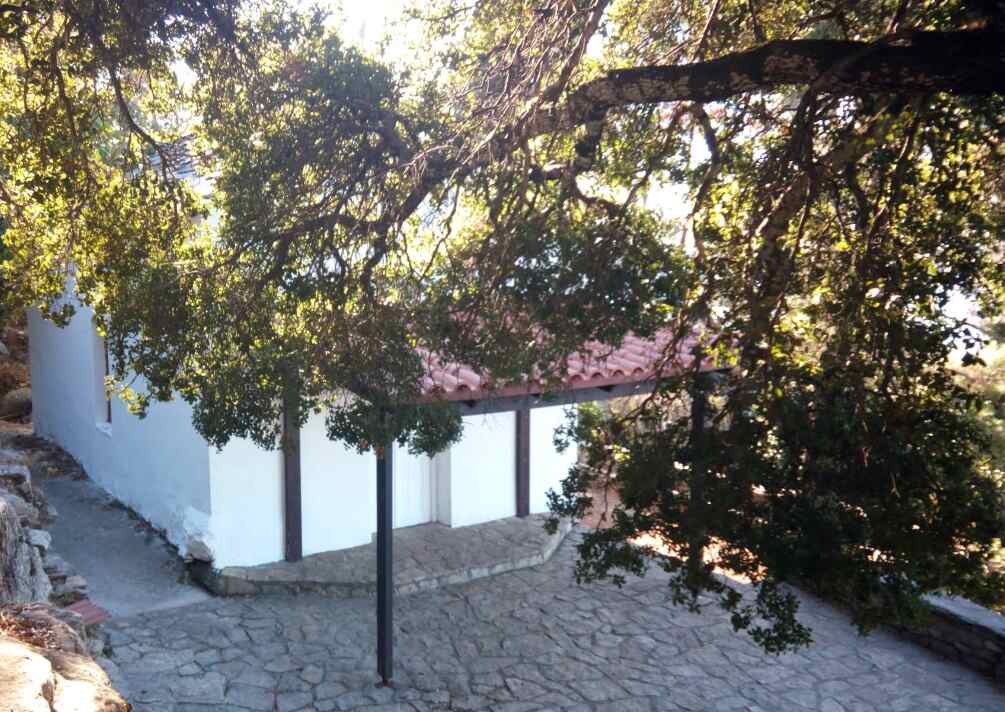 Saint Isidore Festival in Ikaria - Gastronomy Tours Saint Isidore Festival in Ikaria